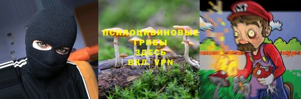 твердый Дмитровск