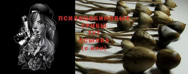 твердый Дмитровск