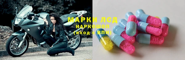 прущий лед Дмитриев