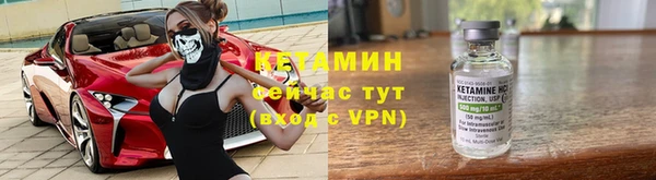 твердый Дмитровск