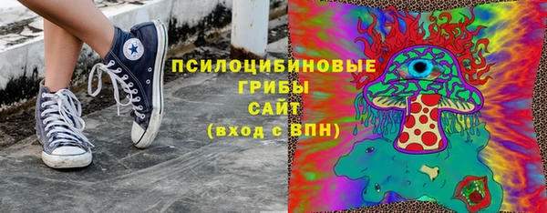 твердый Дмитровск