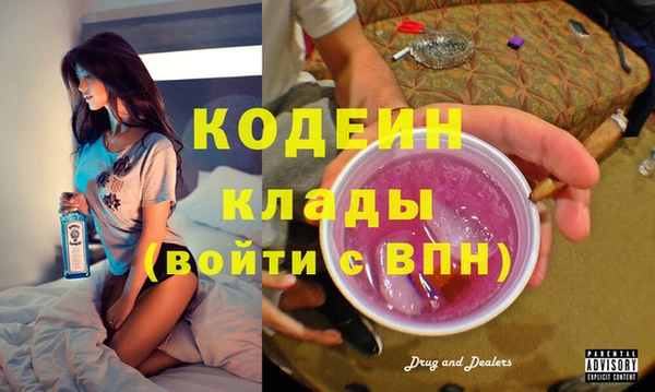 твердый Дмитровск