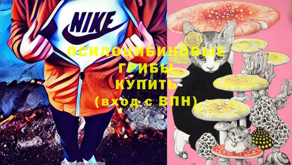 мяу мяу мука Дмитров