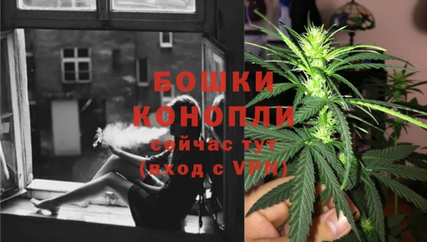 прущий лед Дмитриев