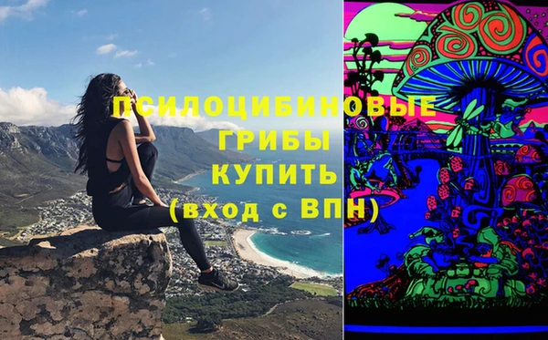 мяу мяу мука Дмитров