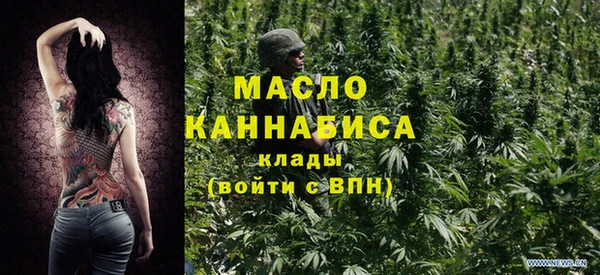 твердый Дмитровск