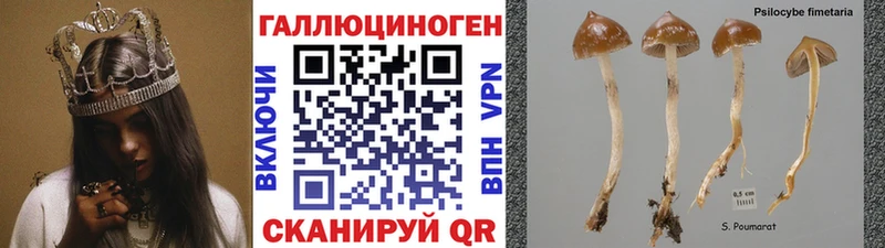 Галлюциногенные грибы прущие грибы  купить  сайты  Ярцево 